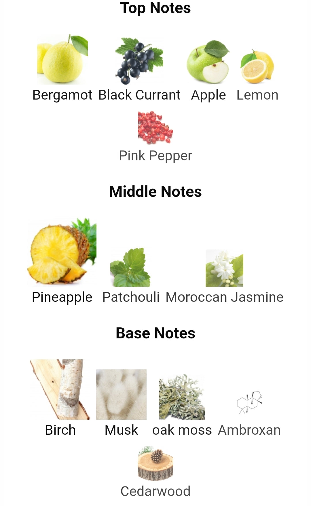 DAY 273 CREED AVENTUS