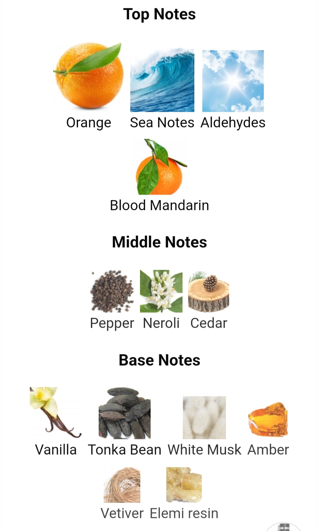 DAY 7 CHANEL ALLURE HOMME SPORT