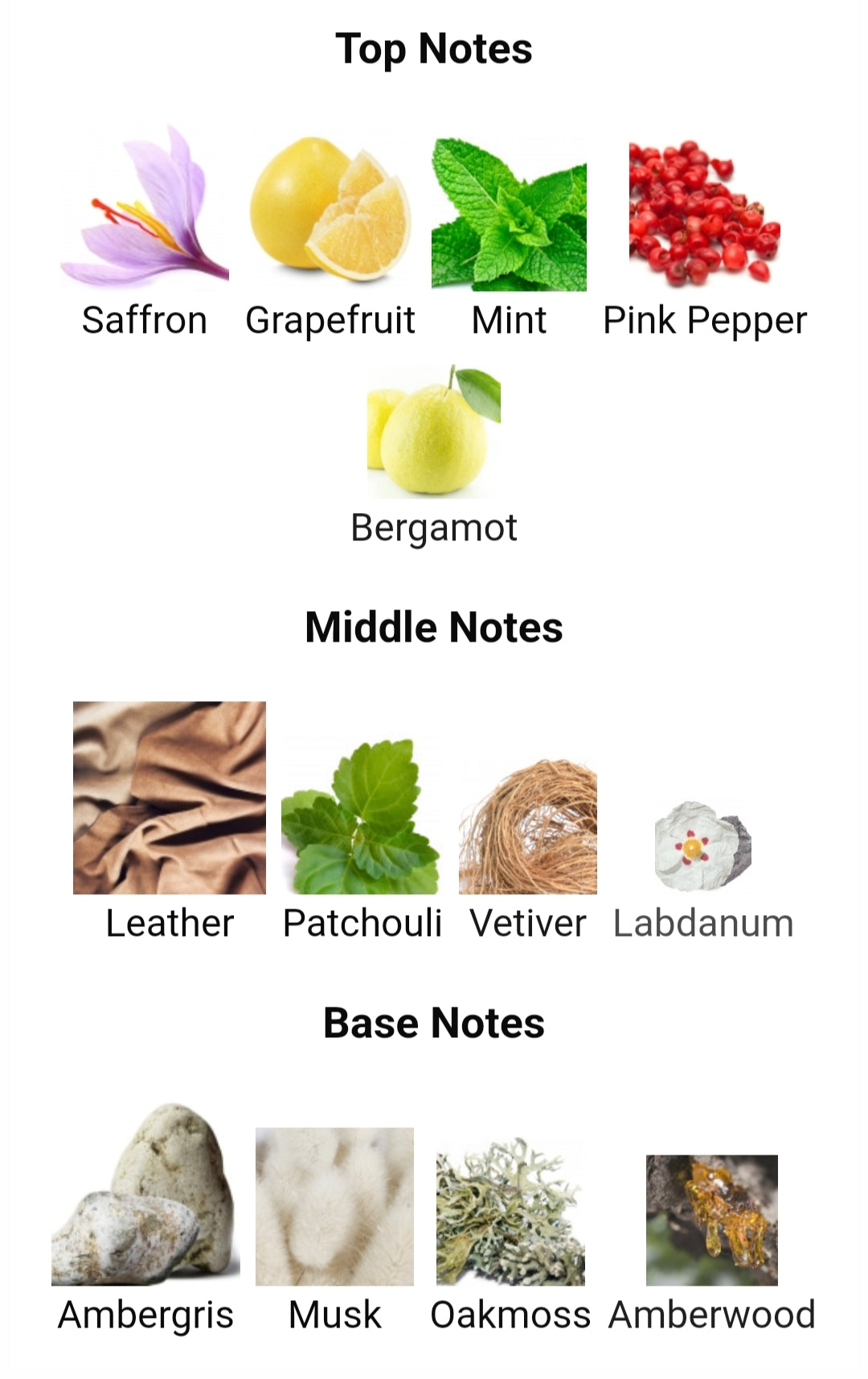 WILD COLT ASSAF 200ML