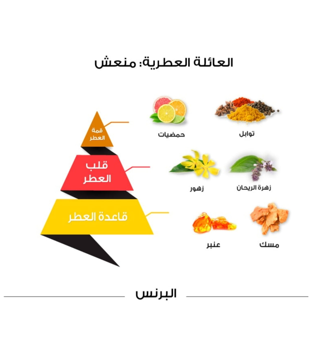 Elbrince Classic Perfume - 100ML