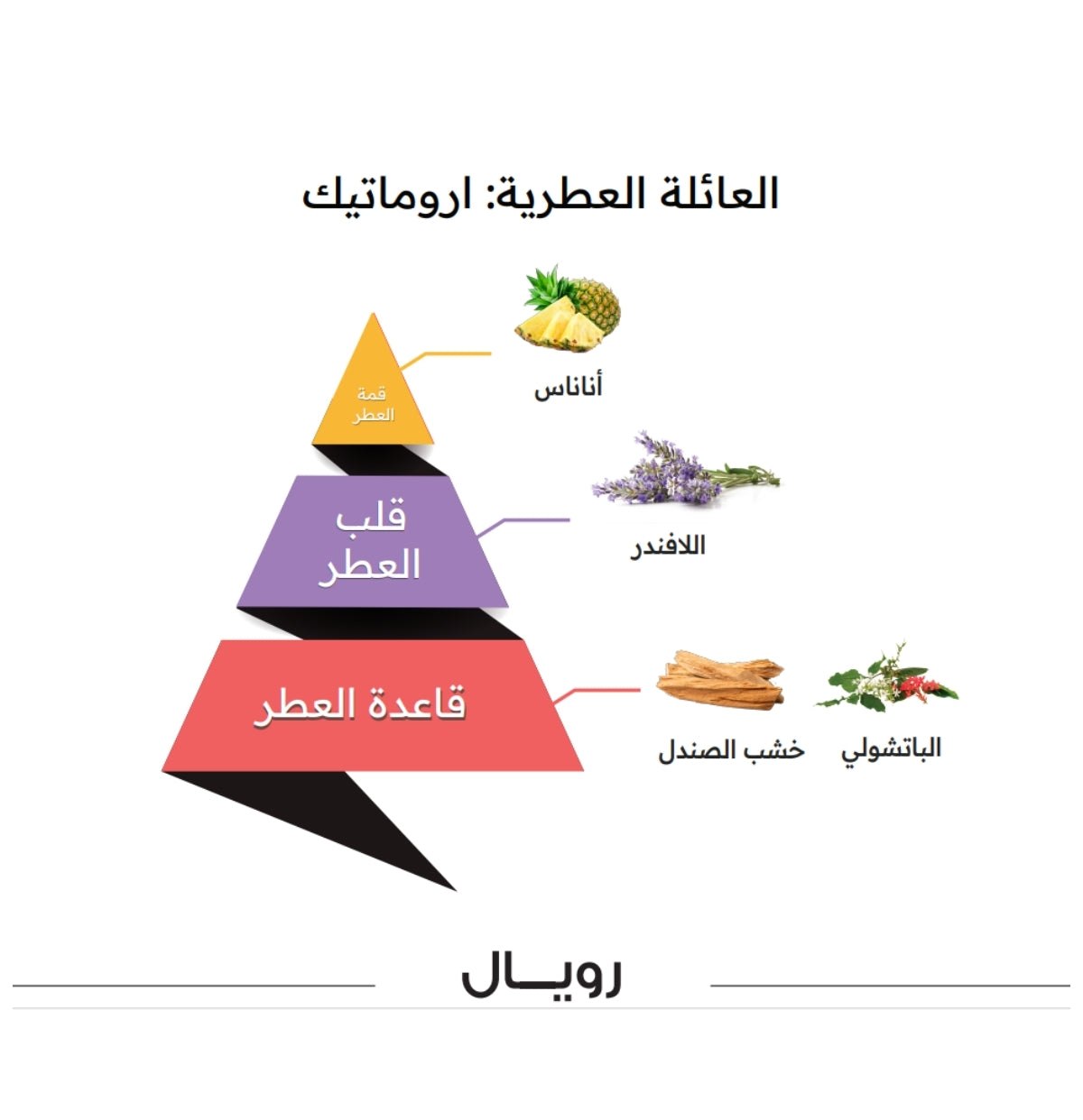 Royale Perfume - 100ML