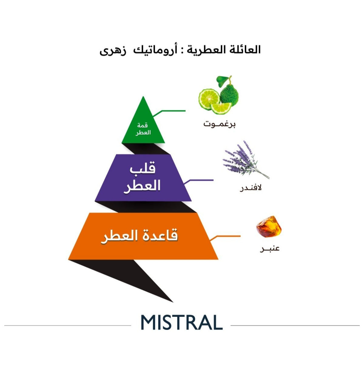 Mistral - 150ML